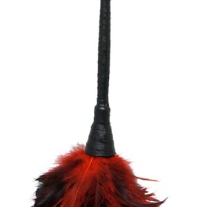 Pomponik z Piór Frisky Feather Duster