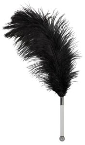 Zdjęcie produktu - Rózga Bad Kitty Feather Tickler