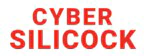 Cyber Silicock